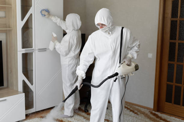 Best Home Mold Removal  in Fall River, WI