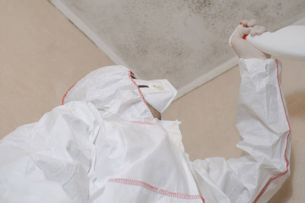 Best Mold Removal Process  in Fall River, WI